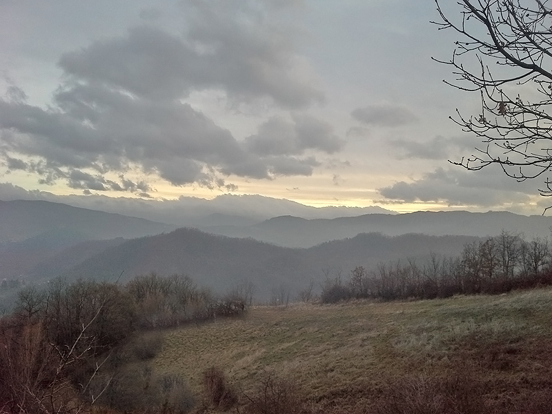 Oasi naturalistica del Carmine